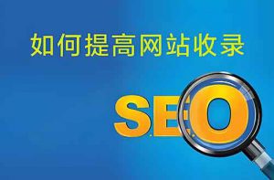 網站(zhàn)收錄問(wèn)題