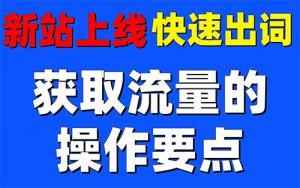 讓網站(zhàn)的(de)流量有(yǒu)大(dà)幅度的(de)提升